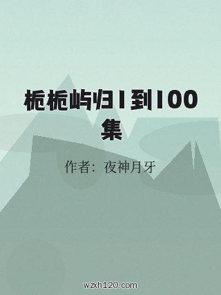 栀栀屿归1到100集