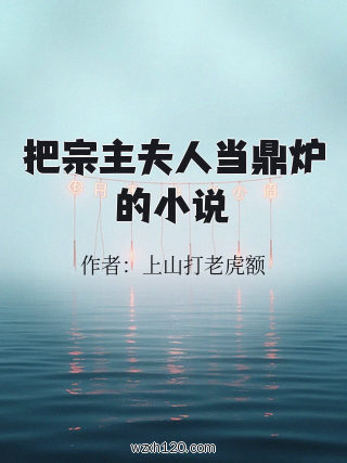 把宗主夫人当鼎炉的小说