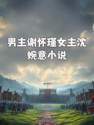男主谢怀瑾女主沈婉意小说