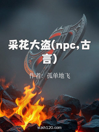 采花大盗(npc,古言)