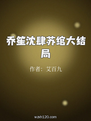 乔笙沈肆苏绾大结局
