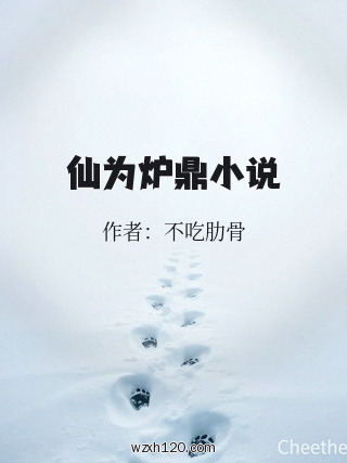 仙为炉鼎小说