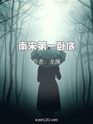 南宋第一卧底