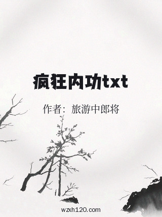 疯狂内功txt
