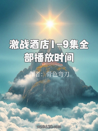 激战酒店1-9集全部播放时间