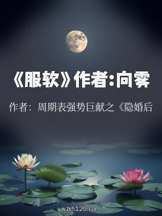 《服软》作者:向雾