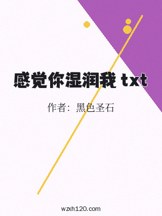 感觉你湿润我 txt