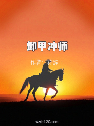 卸甲冲师