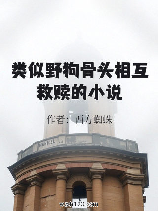 类似野狗骨头相互救赎的小说