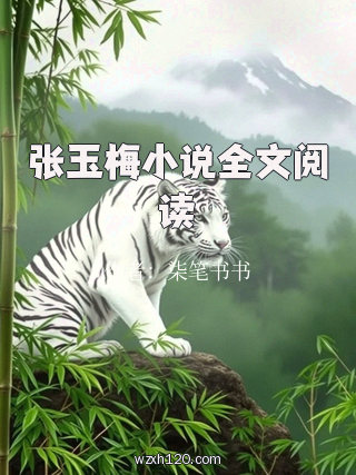 张玉梅小说全文阅读