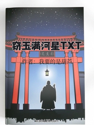 窃玉满河星TXT