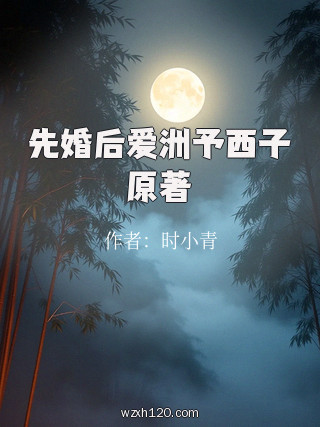 先婚后爱洲予西子原著
