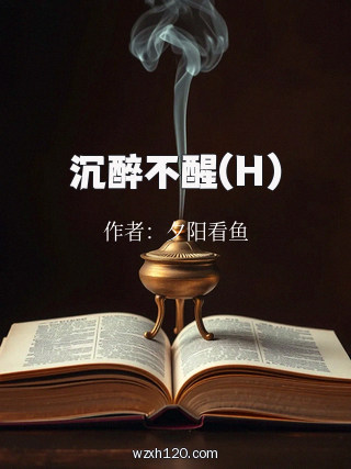 沉醉不醒(H)