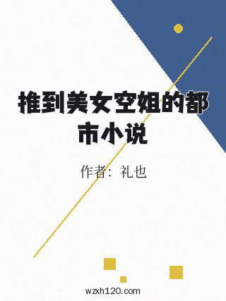 推到美女空姐的都市小说