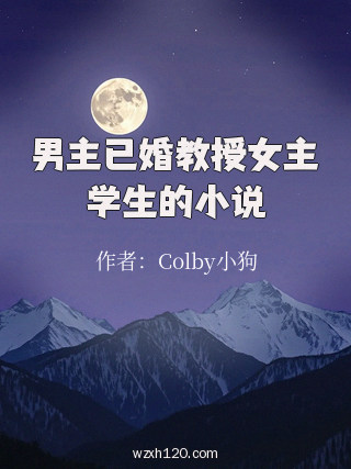 男主已婚教授女主学生的小说
