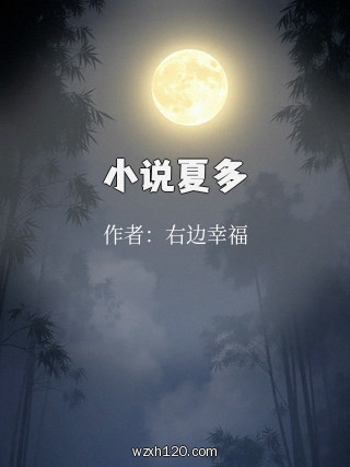 小说夏多