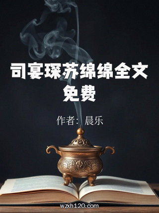 司宴琛苏绵绵全文免费