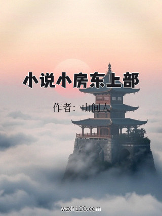 小说小房东上部