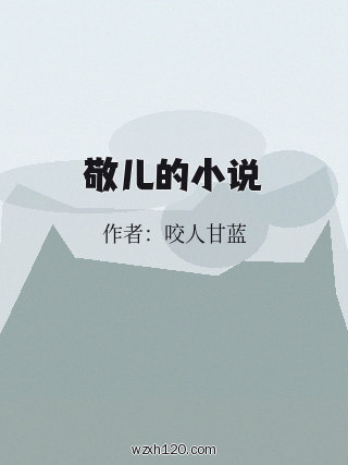 敬儿的小说