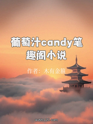 葡萄汁candy笔趣阁小说