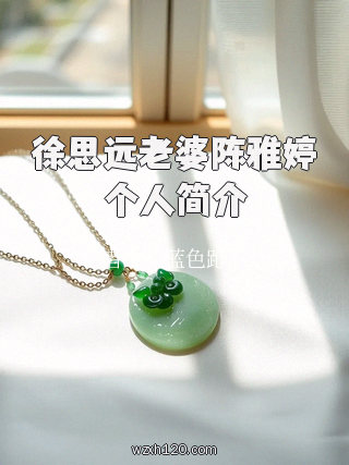 徐思远老婆陈雅婷个人简介
