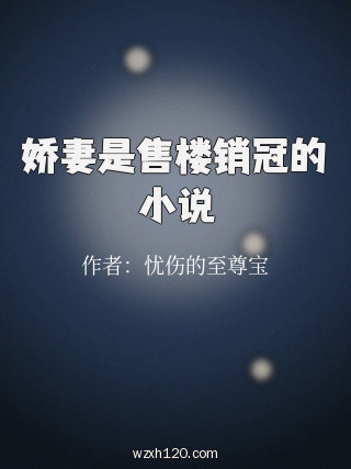 娇妻是售楼销冠的小说