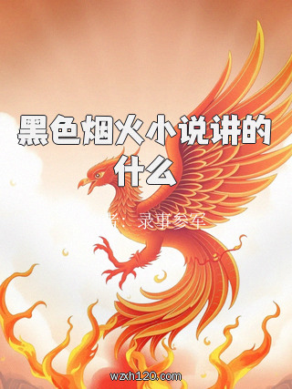 黑色烟火小说讲的什么