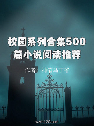 校园系列合集500篇小说阅读推荐