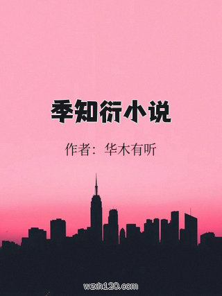 季知衍小说