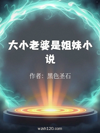 大小老婆是姐妹小说