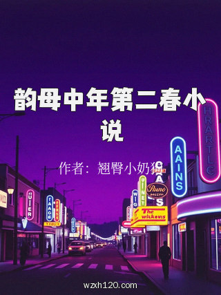 韵母中年第二春小说