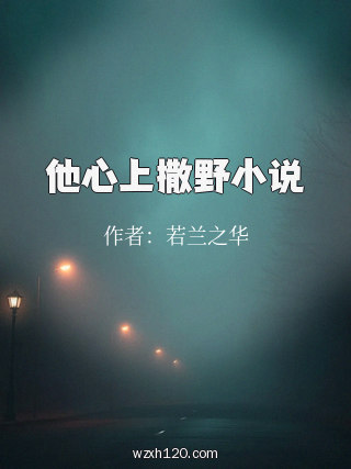他心上撒野小说
