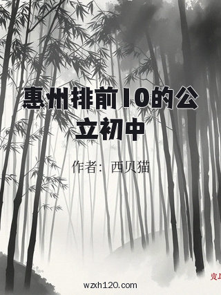 惠州排前10的公立初中