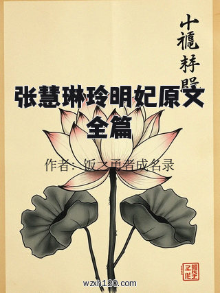 张慧琳玲明妃原文全篇