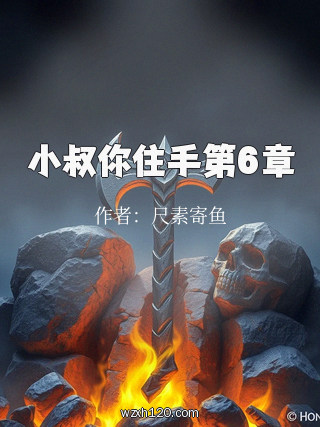 小叔你住手第6章