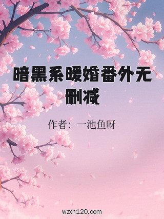 暗黑系暖婚番外无删减
