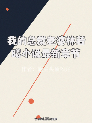 我的总裁老婆林若曦小说最新章节