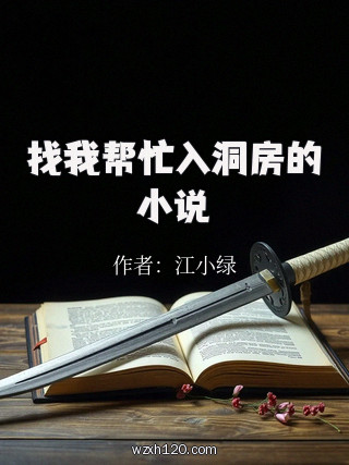 找我帮忙入洞房的小说