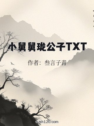 小舅舅珑公子TXT