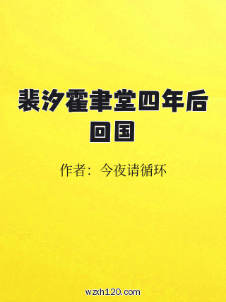 裴汐霍聿堂四年后回国