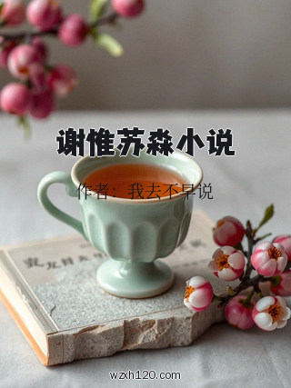 谢惟苏淼小说