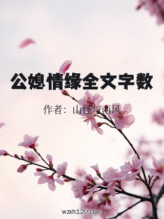 公媳情缘全文字数