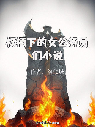权柄下的女公务员们小说