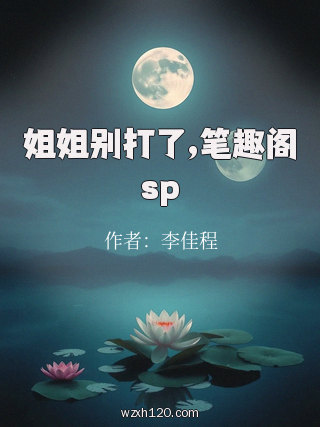 姐姐别打了,笔趣阁sp