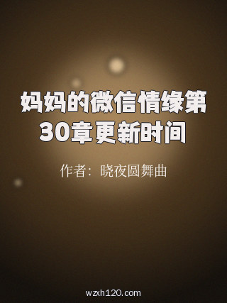 妈妈的微信情缘第30章更新时间