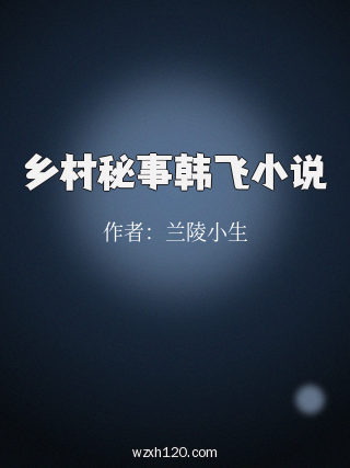 乡村秘事韩飞小说