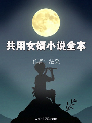 共用女婿小说全本
