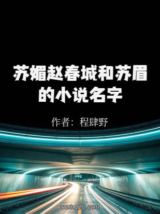 苏媚赵春城和苏眉的小说名字