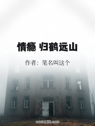 情瘾 归鹤远山
