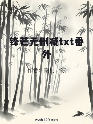锋芒无删减txt番外